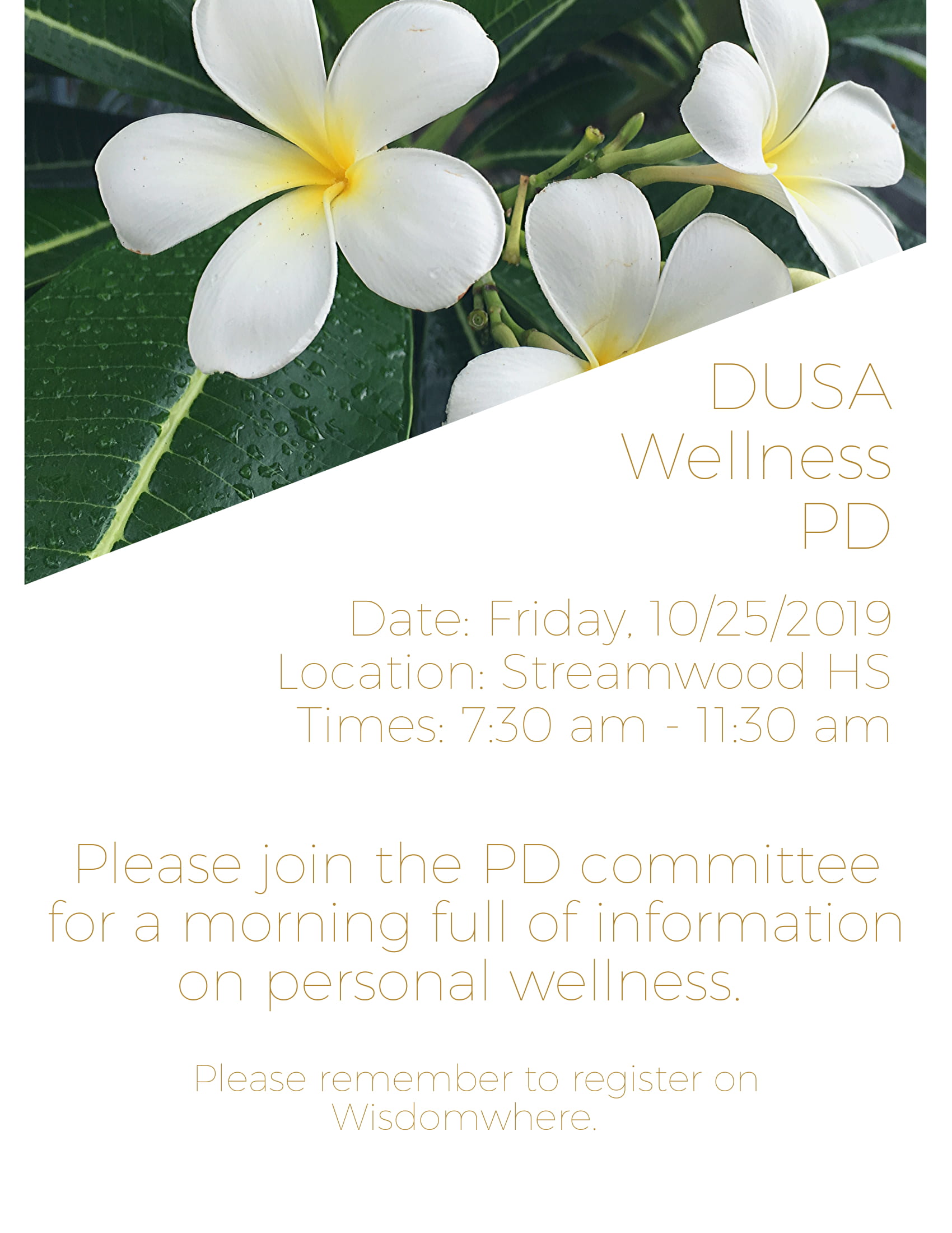 DUSA Wellness PD 10_25_2019 (1)-1